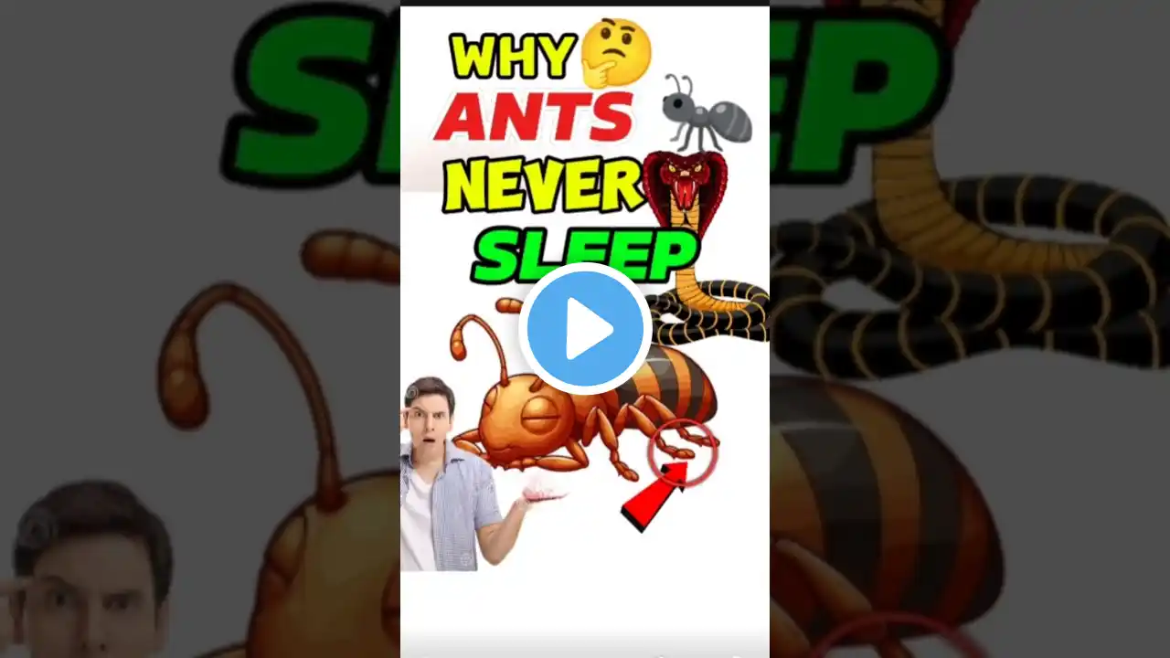 Top 5 Unknown Facts π²(Did You Know)#shorts #ytshorts #ksgfacts