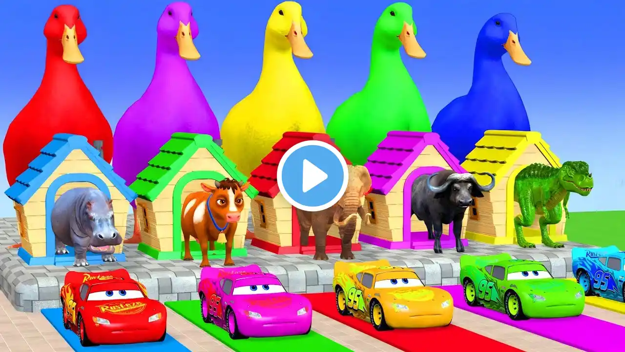 Long Slide Game With Tiger cow Elephant Gorilla Hippopotamus - 3d Animal Game - Funny 3d Animals