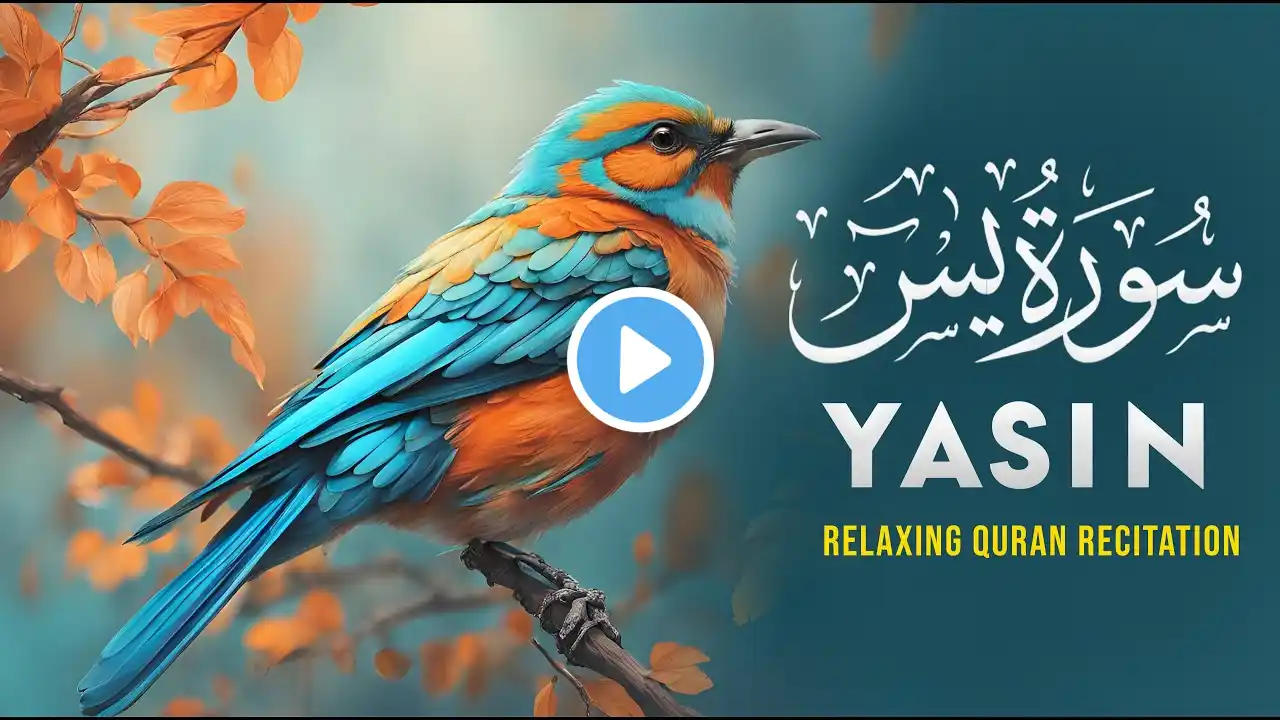 Most Beautiful Recitation of Surah Yaseen (Yasin) سورة يس | Beautiful Voice