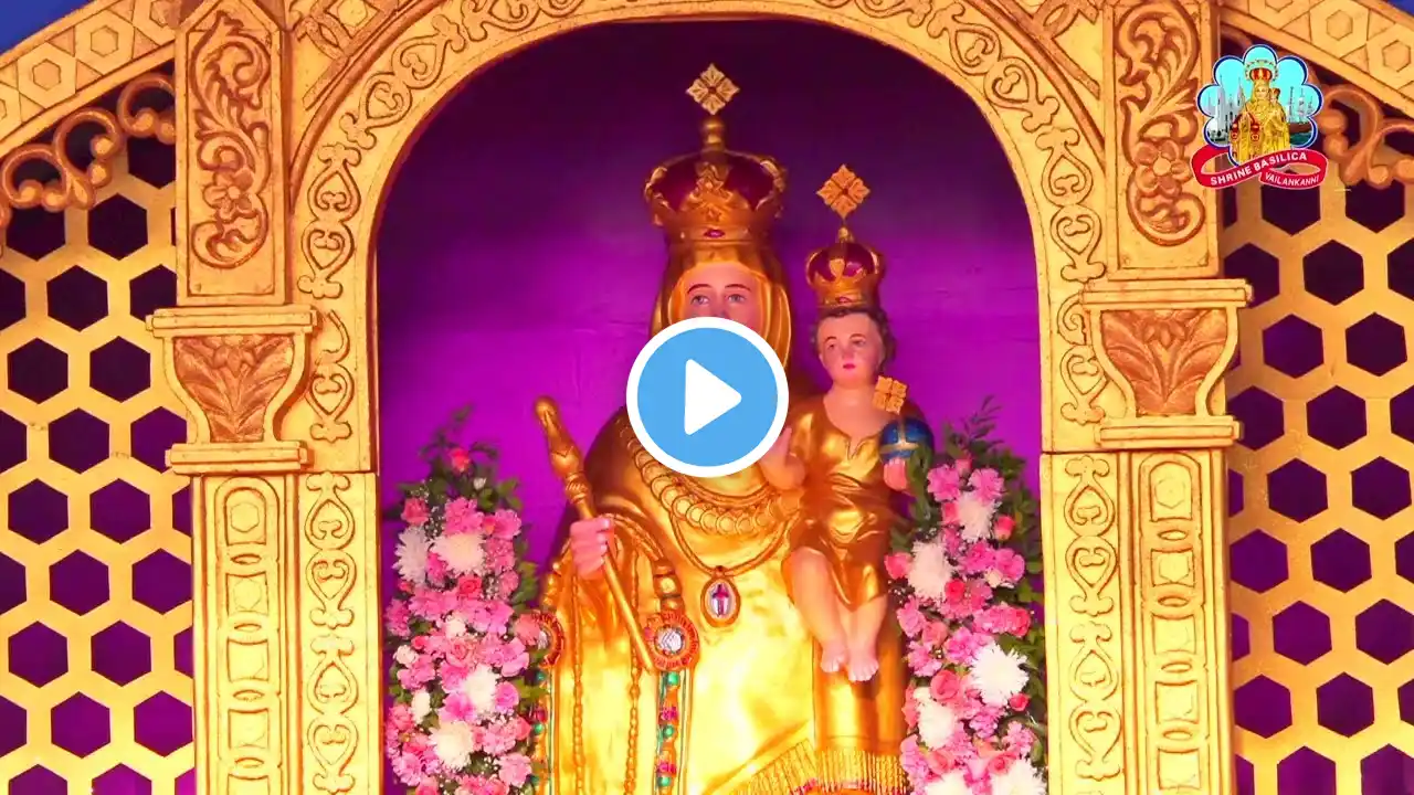 🔴 Live 07 September 2024 @ Vailankanni Shrine Basilica