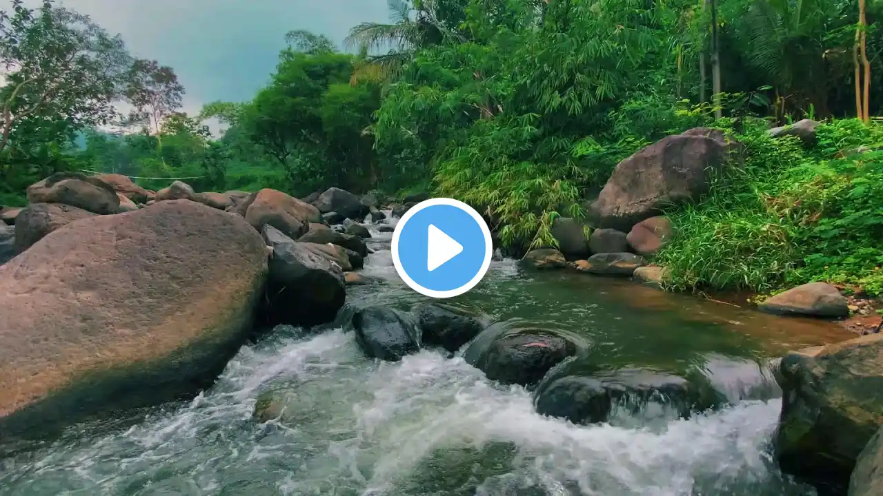 Soothing Stream & River Sounds β Natural Water Flow for Deep Sleep