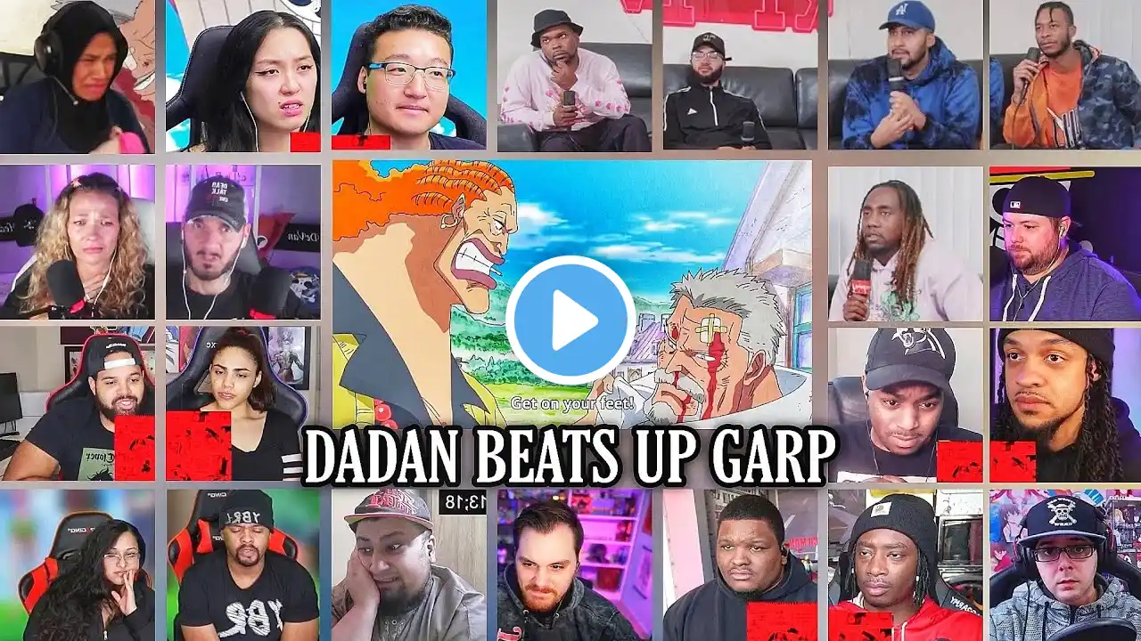 Dadan Beats up Garp Reaction Mashup  | One Piece Episode 505