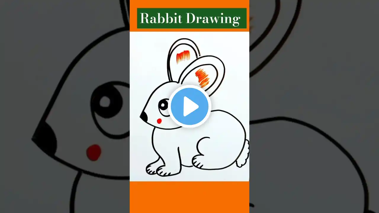 Rabbit Drawing/Rabbit Drawing Easy/Rabbit Drawing Colour/Rabbit Drawing Simple