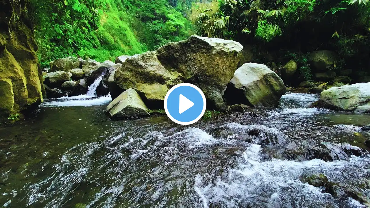 Fantastic Melodies of Nature - Babbling Brook, Birds Chirping, Relaxing Forest Sounds