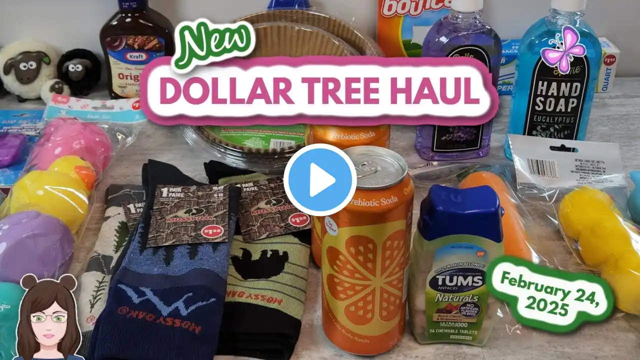 Fun DOLLAR TREE HAUL!  New Finds in York, PA!  February 24, 2024