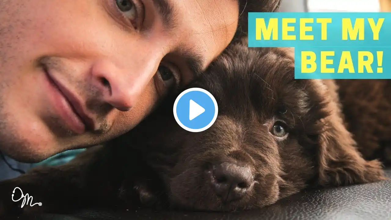 MEET MY BEAR PUPPY! | Health Benefits of Having a Dog | Doctor Mike