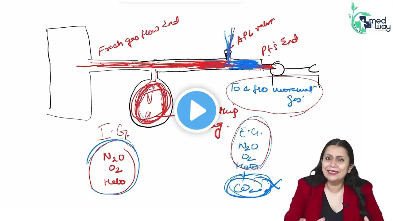 Anesthesia Circuit  ||  Anaesthesia  ||  By Dr. Swati Singh  #Medway