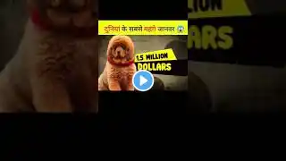 दुनियां के सबसे महंगे जानवर 😱 | most expensive pets | interesting animals facts | #shorts #ytshorts