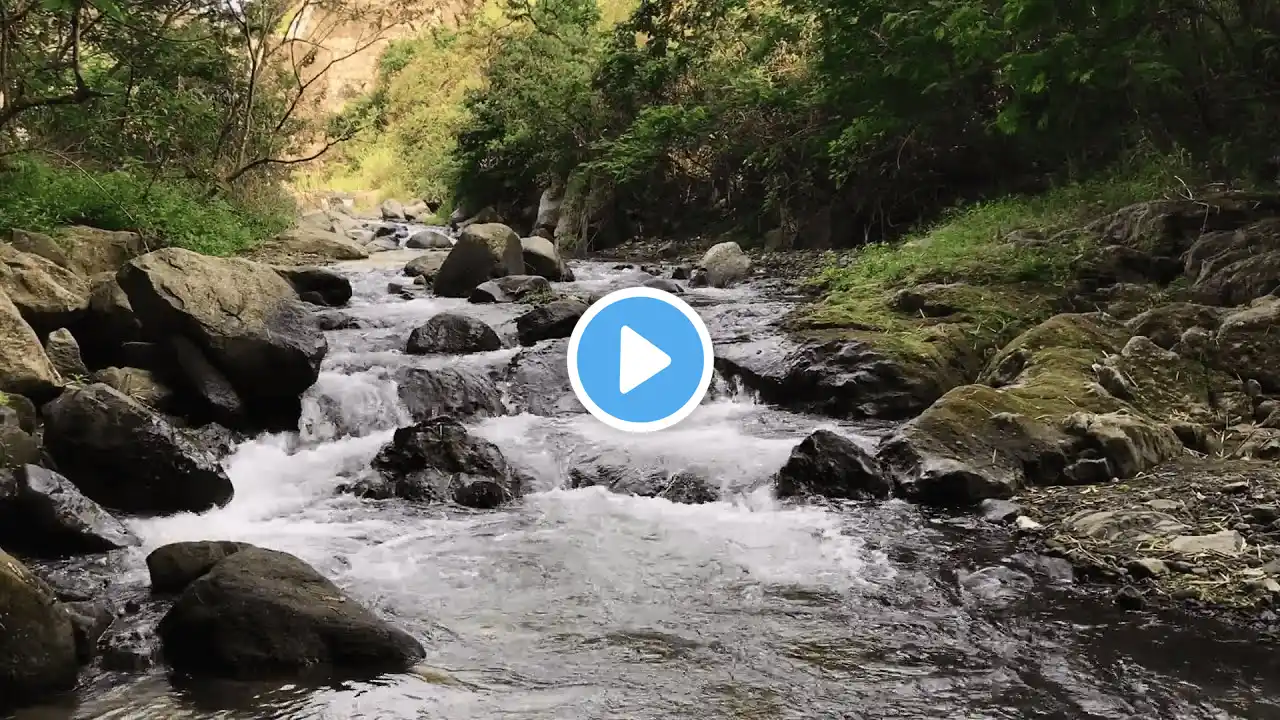 Relaxing River Sound & Waterfall in a Lush Green Forest | Peaceful Nature Ambience for Meditation