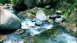 Tranquil Waterfall & River White Noise | Gentle Flowing Water Sounds for Healing & Meditation