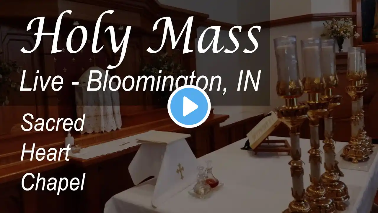 Live Mass & Rosary  - Dedication Sts Peter & Paul's Basilicas - 7 AM - Mon - Nov 18