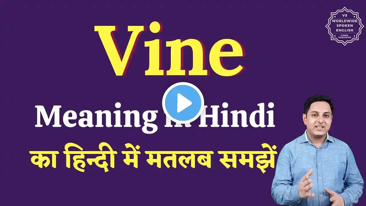 Vine meaning in Hindi | Vine ka matlab kya hota hai | English to hindi