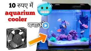 Aquarium Heating and Cooling: How to Keep Your Fish Comfortable