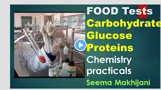 FOOD Test  CBSE 2025 chemistry by  Seema  Makhijani  class 12  PRACTICALS  CBSE/NEET/JEE 2025