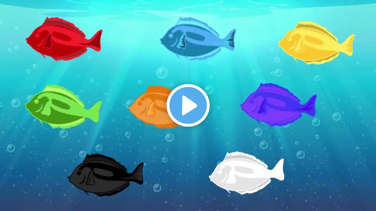 Learn Colors with Fish for Toddlers – Fun Educational Video for Kids