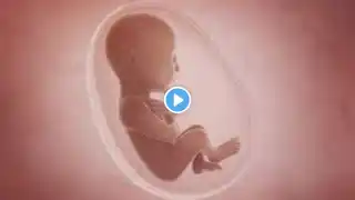 Pregnancy Symptoms and Baby Development