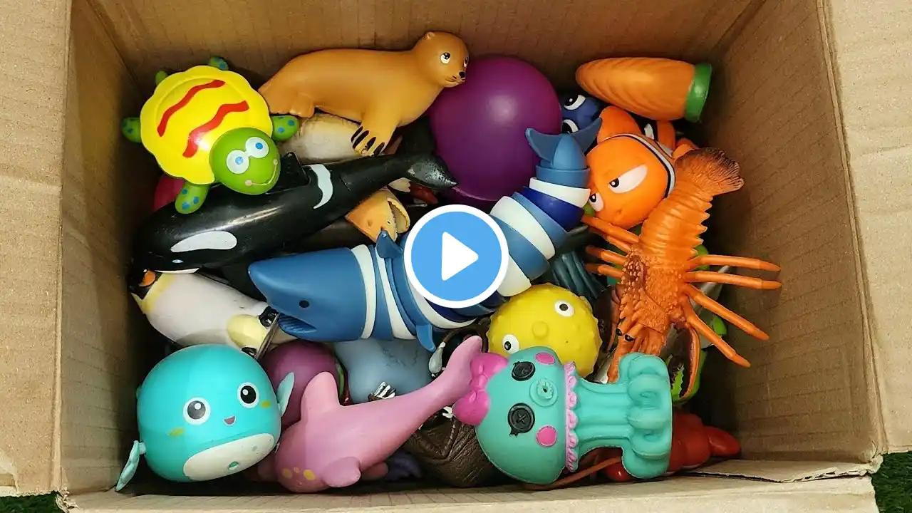 Sea creatures names and Fun facts for toddlers| Box of Fun Sea animal toys