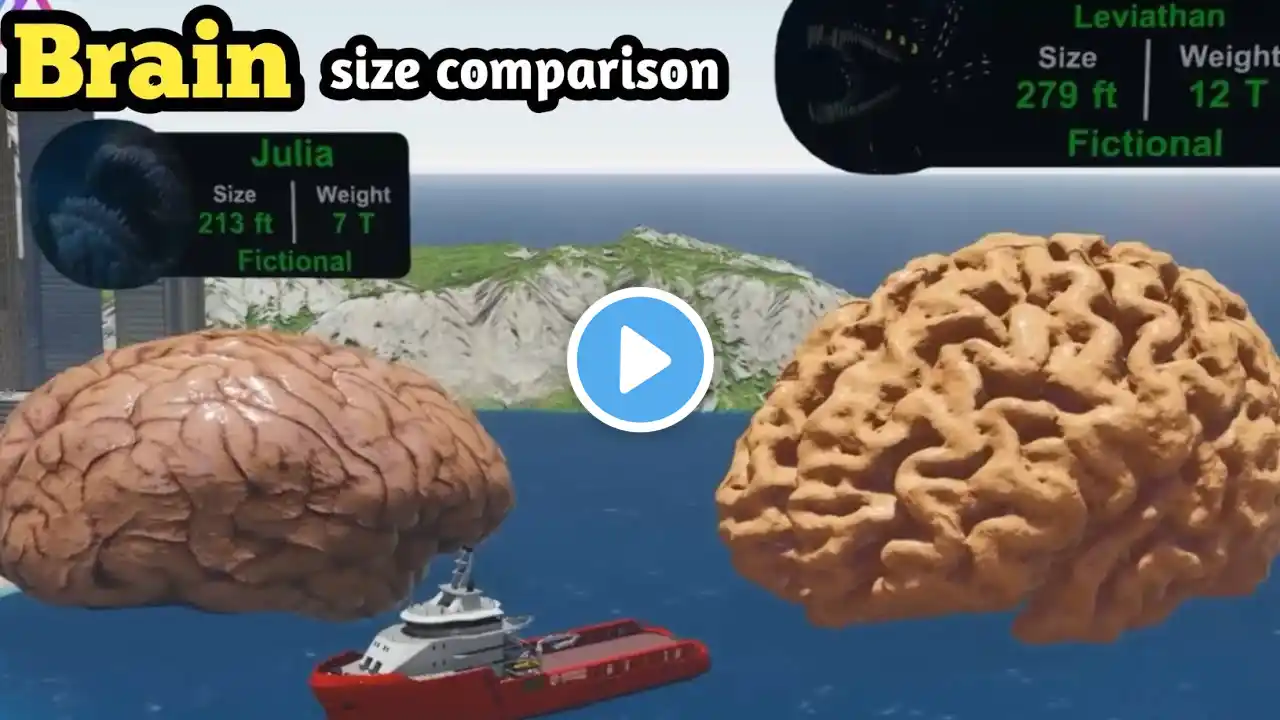 Monster Brain Size Comparison | EL GRAN MAJA Vs SEA EATER | Animals Size Comparison