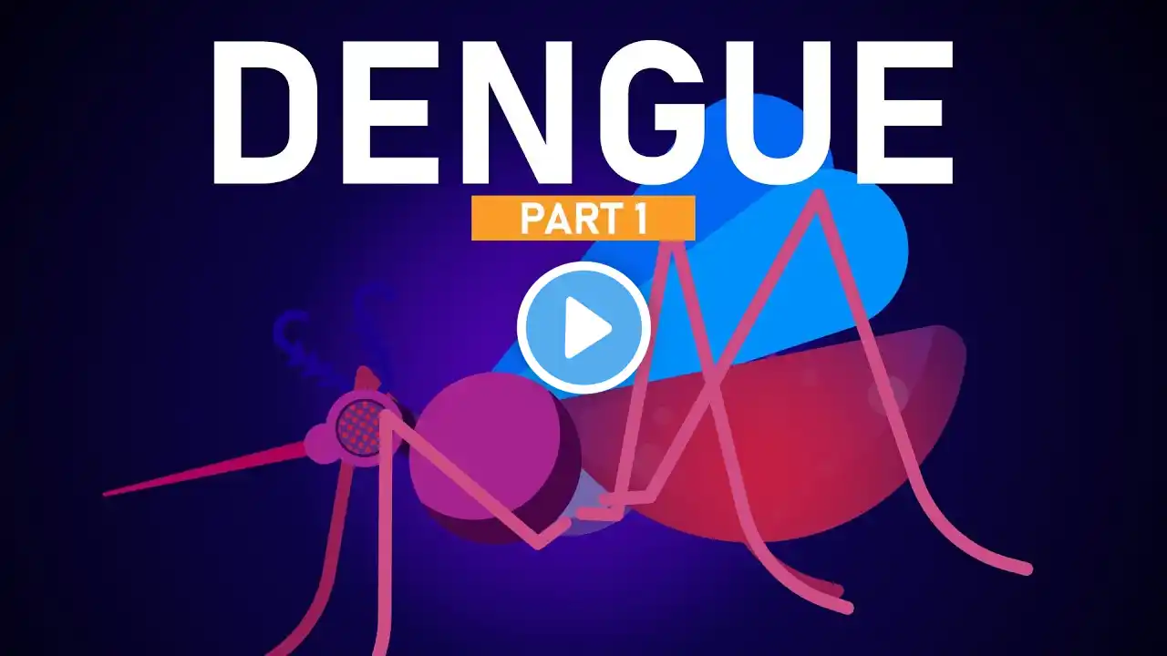 Dengue Explained in 5 Minutes