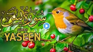 Surah Yaseen (Yasin) Episode-057 Recitation || Heart Touching Recitation ||By Hafiz Masood Ul Hassan