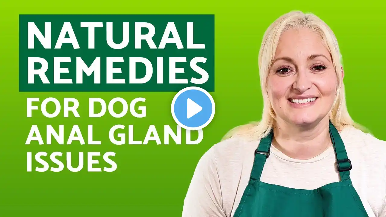 The Best Natural Home Remedies for Dog Anal Gland Problems! (Smells, Scooting, Licking)