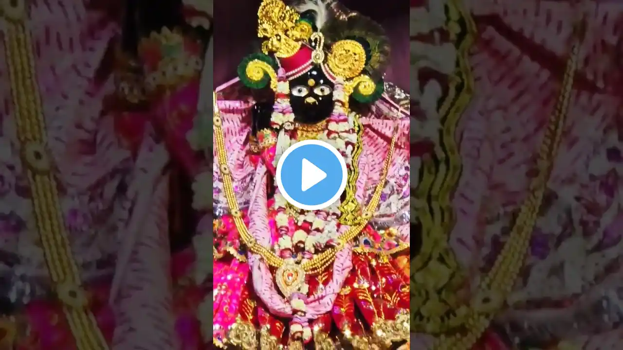 गोकुल बरसाना की लट्ठमार होली !gokul barsana ki lathmar holi #holi #barsana #vrindavan #gokul