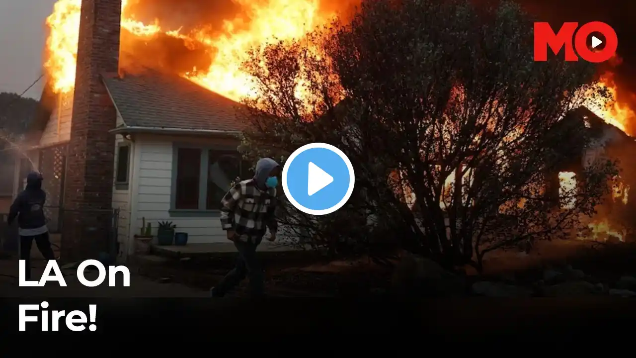 Los Angeles Is On Fire, Celebrities Witnessing Houses Being Burnt Live. Would They Still Live Here?