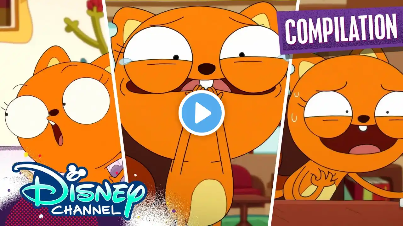 Kiff Season 1 | Halfway Highlights | Compilation | @disneychannel