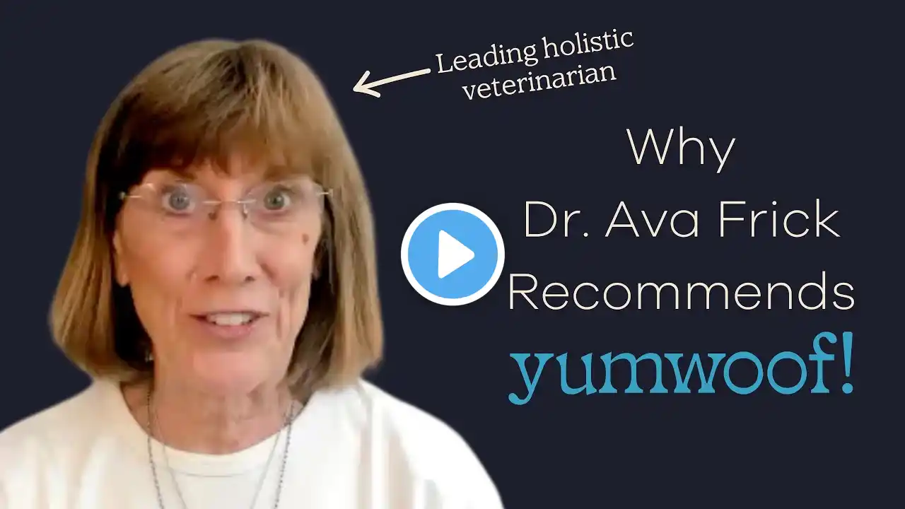 Why Dr. Ava Frick Recommends Yumwoof Air-Dried Dog Food