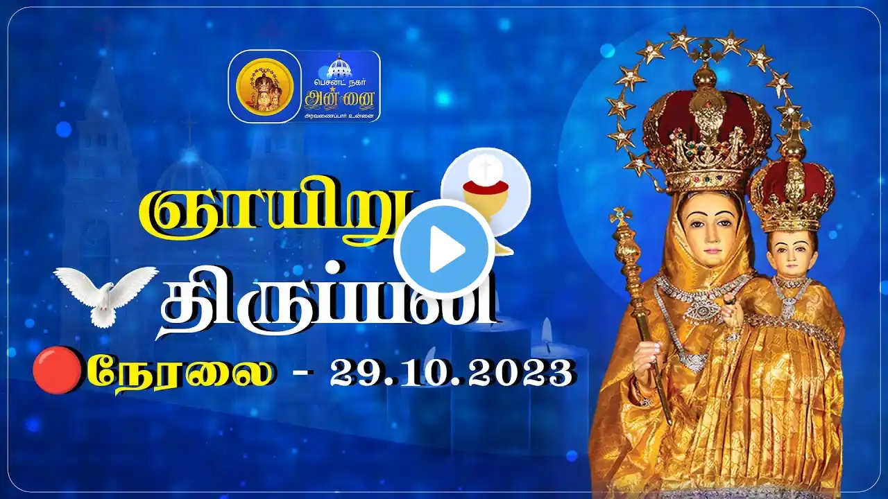 🔴 LIVE : Holy Mass In Tamil - 29th October 2023 | Annai Vailankanni Shrine | ‪@besantnagarannai‬