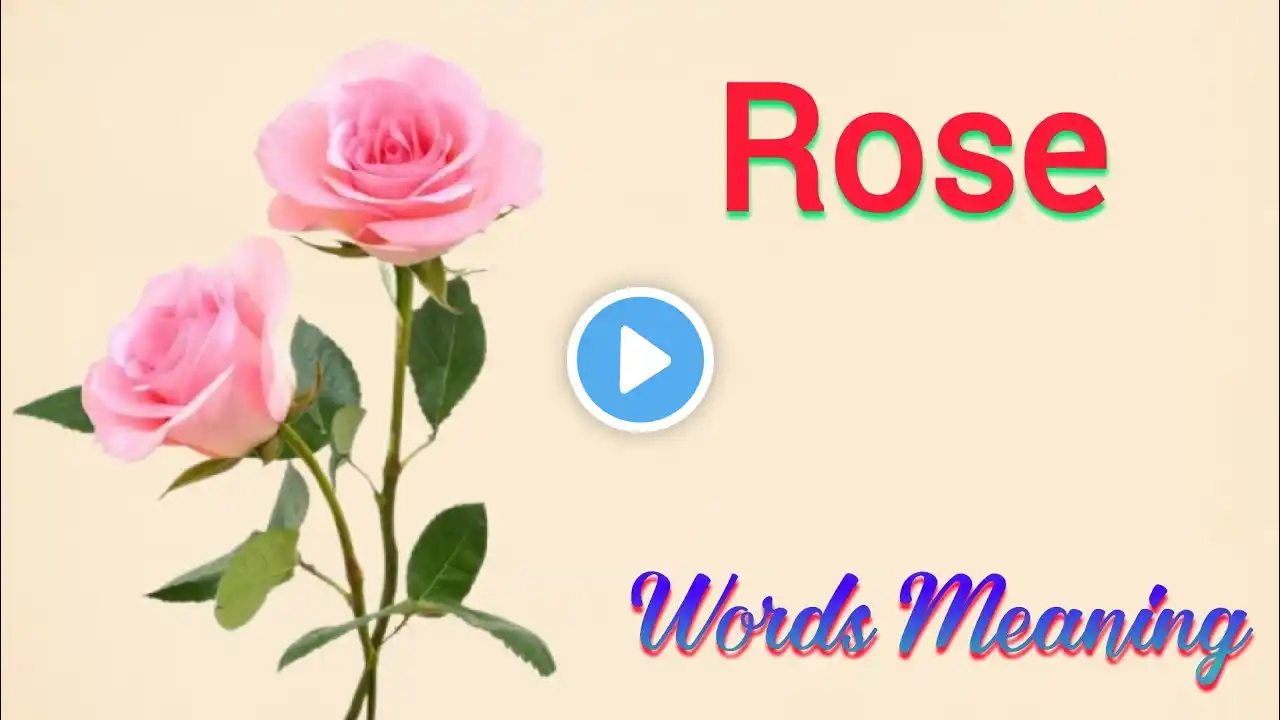 rose meaning in hindi | rose ka matlab kya hota hai | rose means | rose ka arth | spelling