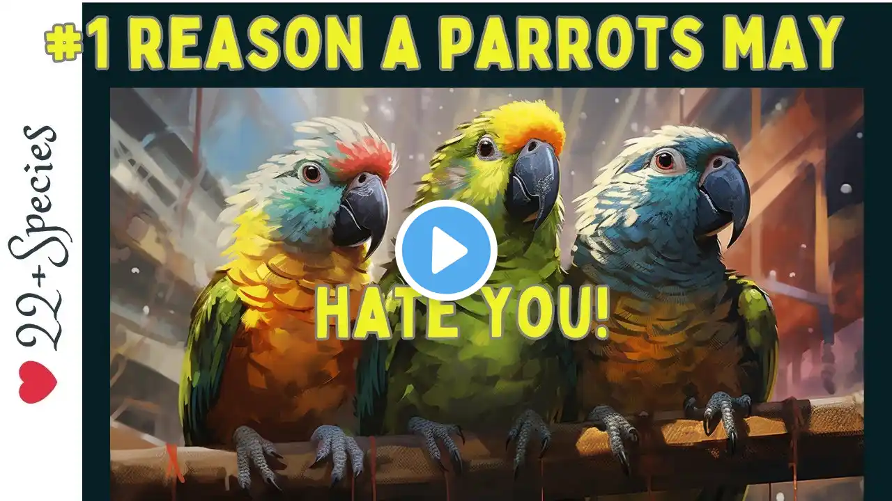 Can A Parrot HATE You Before IT Meets YOU? | #parrot_bliss #bird #parrot