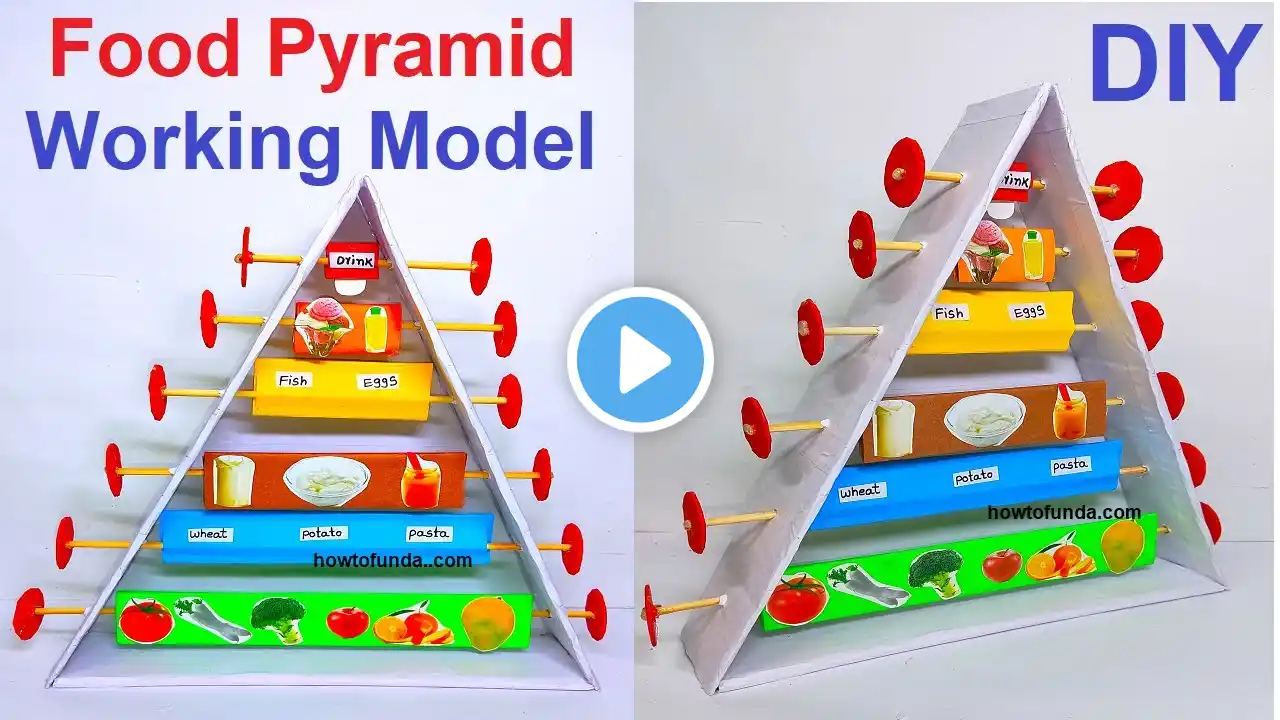 food pyramid working model 3d for class 9 and class 10th | TLM | howtofunda ‪@craftpiller‬