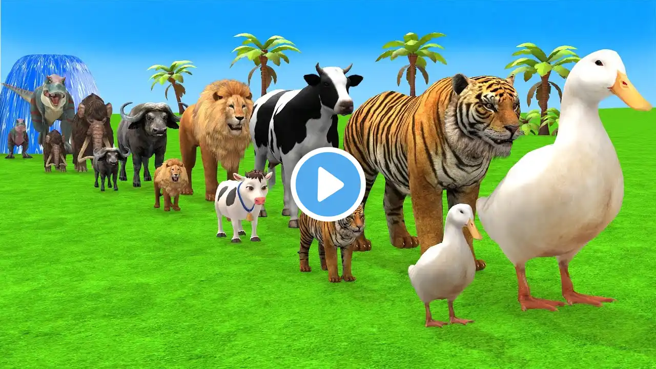 Long Slide Game With Cow Elephant Gorilla Hippopotamus Tiger - 3d Animal Game - Funny 3d Animals