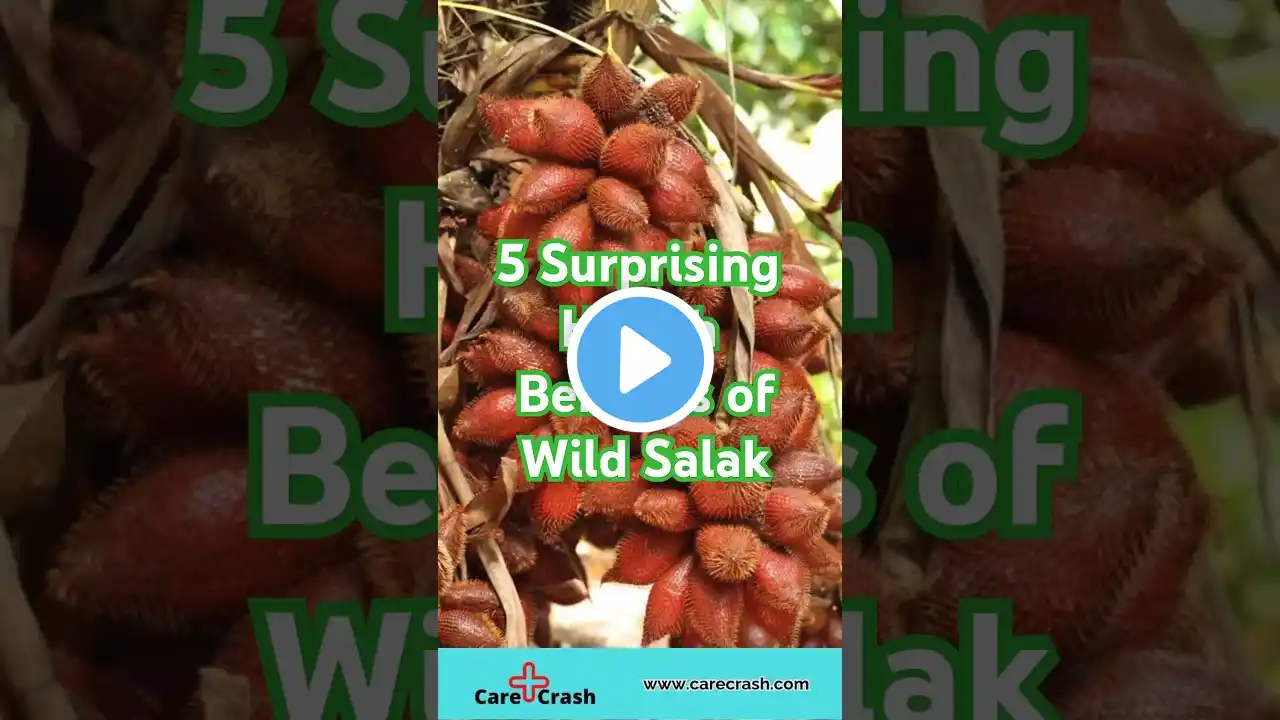 5 Surprising Health Benefits of Wild Salak | #carecrash