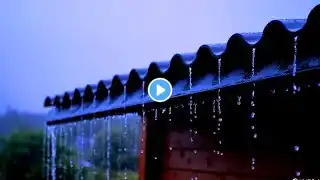 Soothing Thunderstorm: Heavy Rainfall on Roof for Deep Sleep and Complete Relaxation