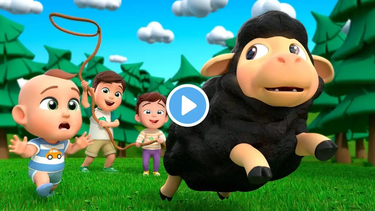 Baa Baa White & Black Sheep | Almama Nursery Rhymes & Kids Songs | lia cha cha rhy