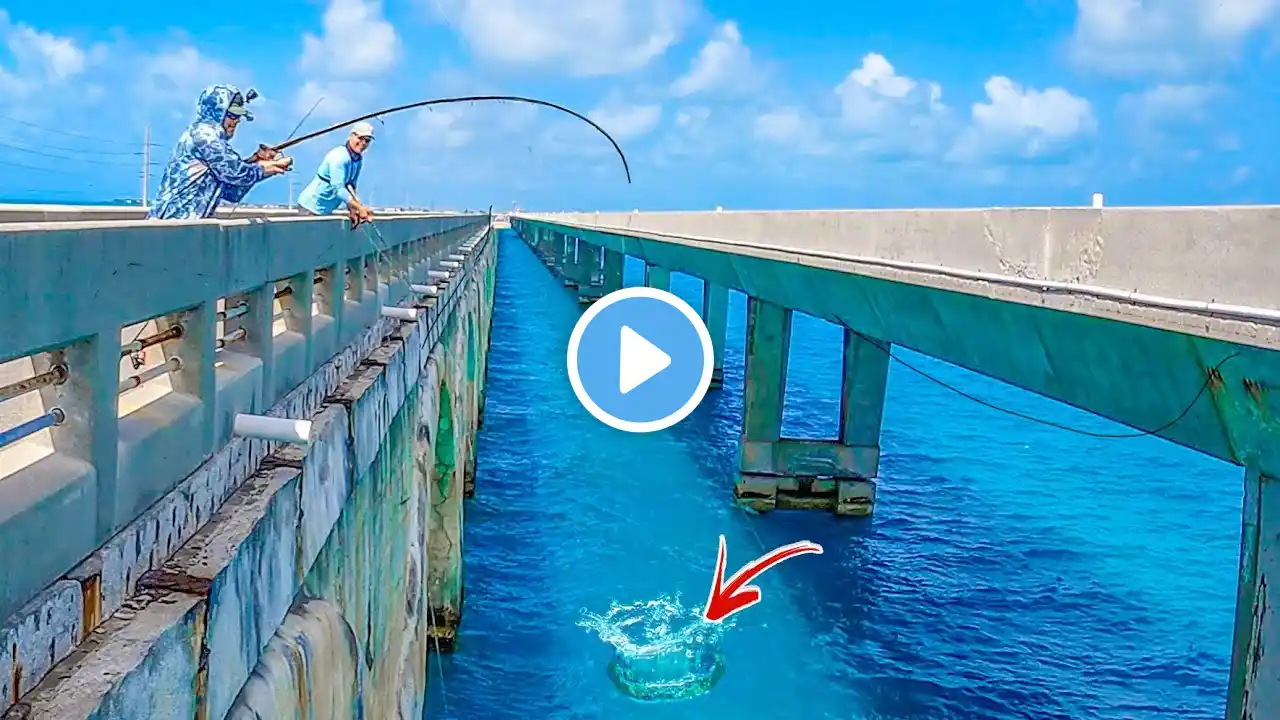 BEST Fishing Spot In The World? **Florida Keys Bridge Fishing**