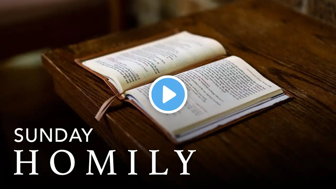 Sunday Homily 11/22/20