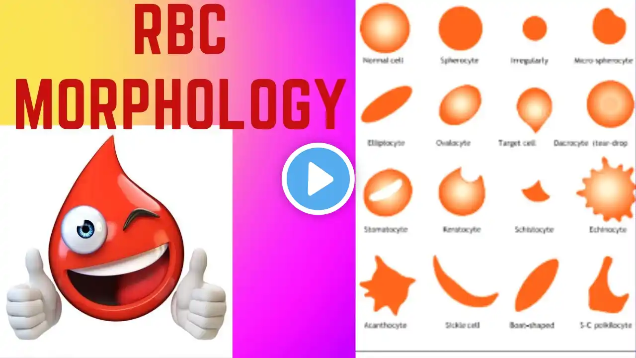 RBCs Morphology| Lecture -3| Hematology| Abnormal RBCs Morphology| Urdu/Hindi #rbc #hematology