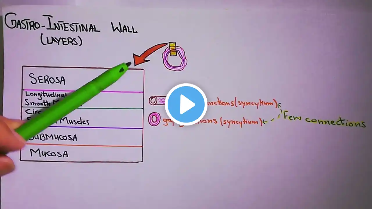 Physiological Anatomy of Gastrointestinal Wall. Chapter 63 (part 1). Guyton and Hall Physiology.