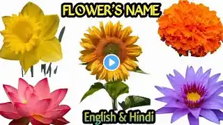 10 Flowers Name in english and hindi | Flowers Name | Flower Name  Phoolon Ke Naam | Name Of Flower