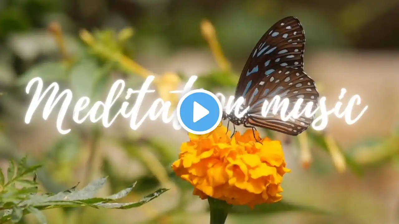 20 Min. Meditation Music Relax Mind Body l Relaxing Yoga Music l Peace Relaxing Music\Relaxing World