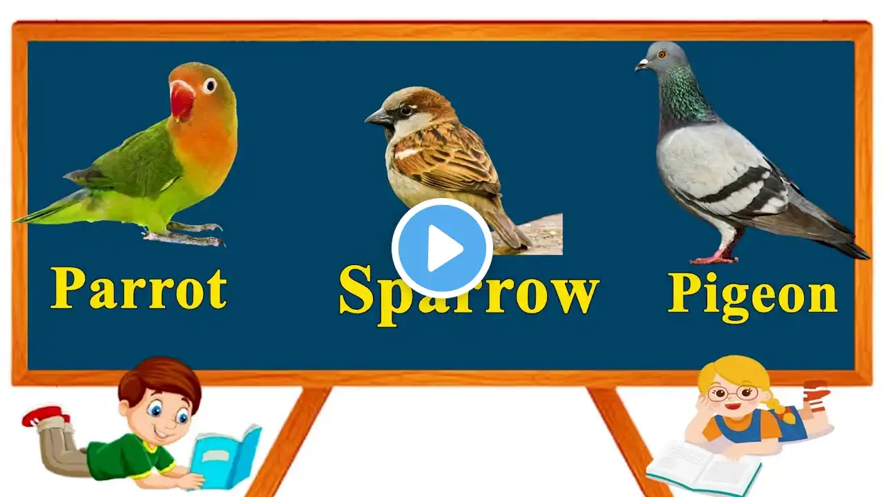 Birds name and picture with spelling. let's learn the spelling of birds.🐦🕊️🐦🐦 ‪@hindikidzeezone‬