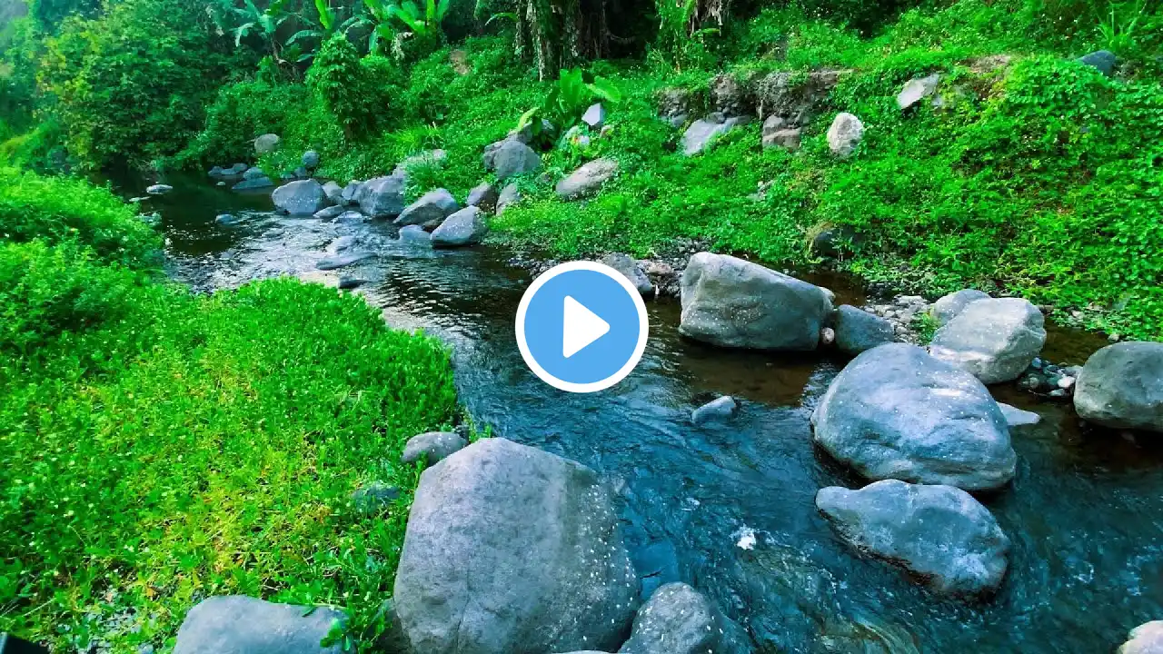 Relaxing Nature River Sounds White Noise relax, Meditation, reduce anxiety, sleep, Stress Relief 9