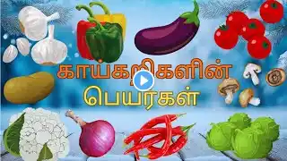 காய்கறிகளின் பெயர்கள் | vegetables Names Tamil |Leaning fruits Name