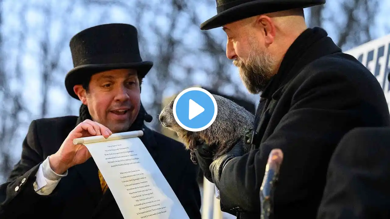 Groundhog Phil 'predicts' six more weeks of winter