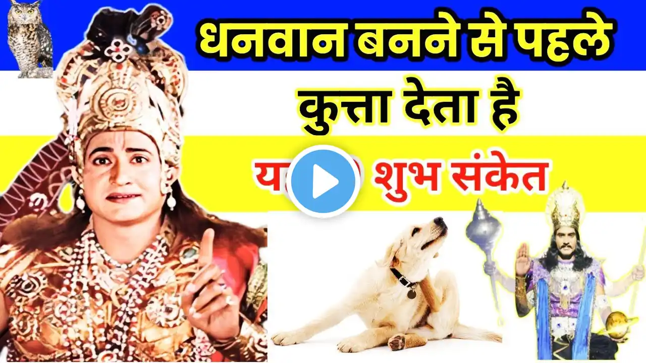 धनवान बनने से पहले कुत्ता देता है यह 10 संकेत।kutte ke 10 Shubh sanket।#vastutips