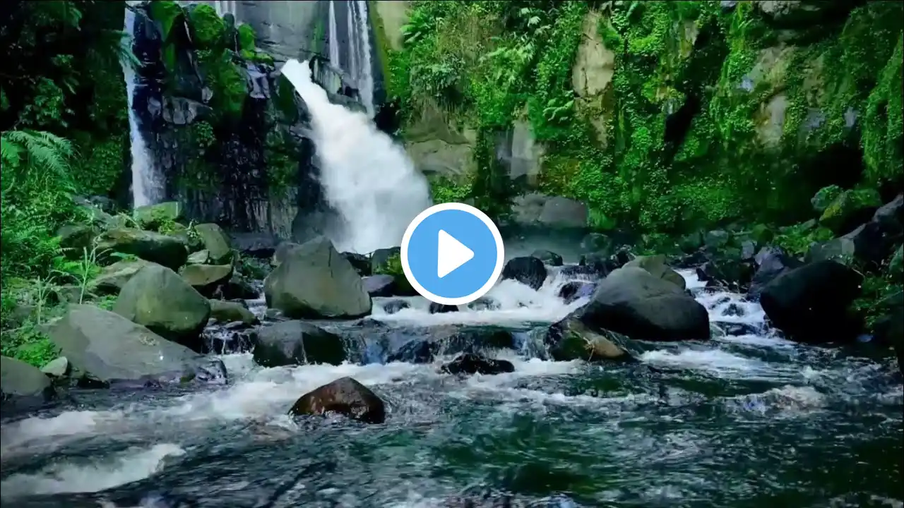 Soothing Waterfall and Forest Sounds ✨ Relieve Stress, Enhance Focus, and Sleep Peacefully