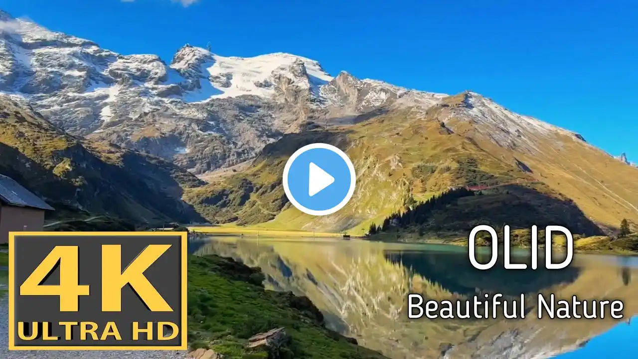 Explore The Most Stunning Green Color Nature in 4K HDR 60fps Dolby Vision  #BGM #NATURE #8K